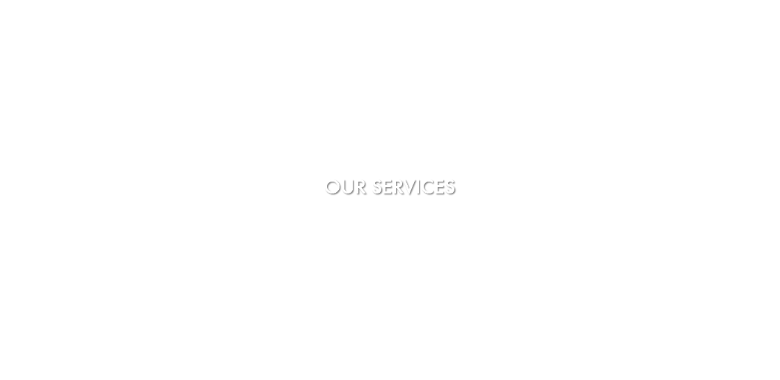  OUR SERVICES 